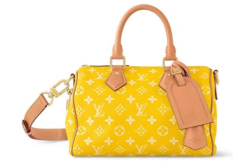 yellow louis vuitton speedy|authentic louis vuitton speedy.